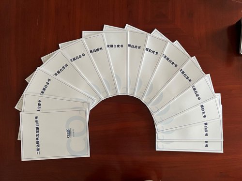 重磅！《二氧化碳熱泵發(fā)展白皮書(shū)》正式印發(fā)